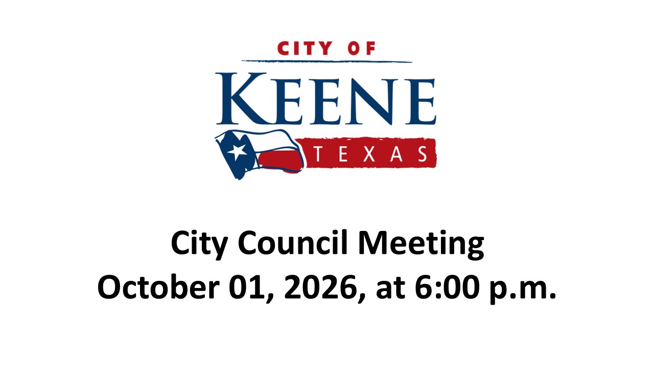 Video of Council Meeting. Click to play. 